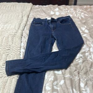 Ann Taylor Blue Skinny Jeans Classic Denim